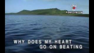 THE END OF THE WORLD - LOBO