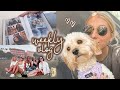 questions i’ve never answered, memories &amp; a wholesome day ☀️ weekly vlog!