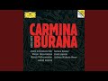 Miniature de la vidéo de la chanson Carmina Burana: Ii. In Taberna: In Taberna Quando Sumus