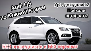 AUDI Q5. Дождались, поехали встречать!