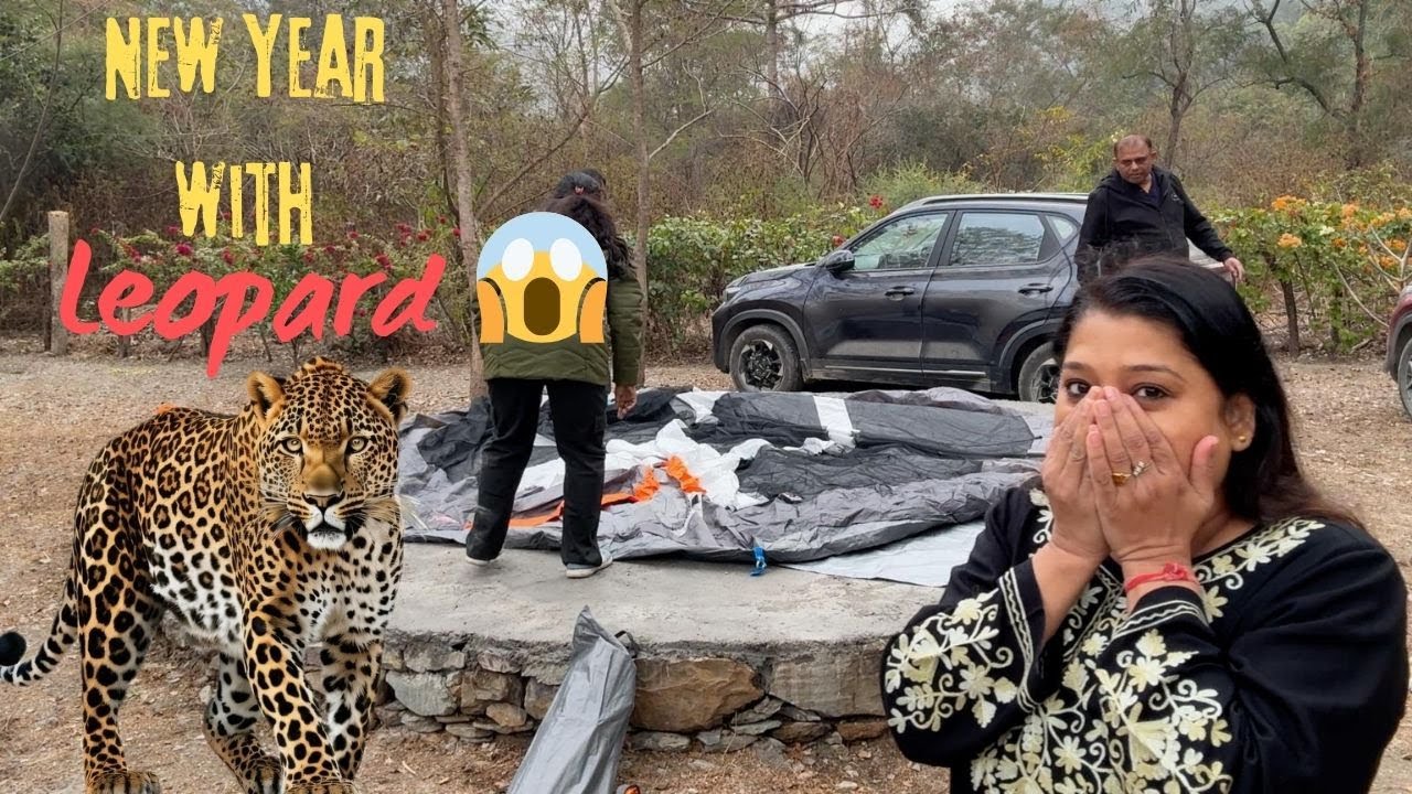 Ghane Jungle में leopard 🐆 के beech banaya अपना Naya Saal , डर 😱 की वजह से रात भर सो नहीं पाई || IMS