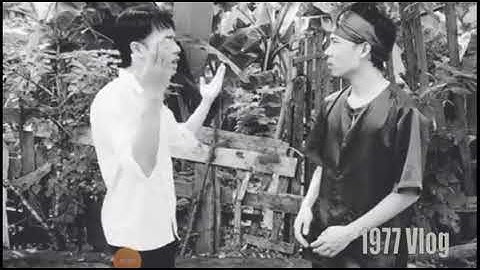 1977 volg -- spoil phim Mới  Cậu Vàng Cực Mạnh (Cậu Vàng Trong Vai Chó shiba)