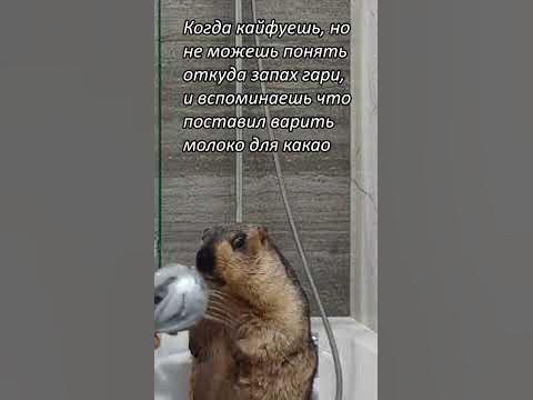 Уупс - YouTube