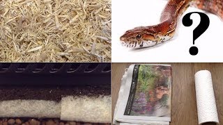 best corn snake bedding