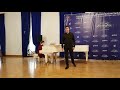 1 тур VII Международного конкурса камерного пения имени Георгия Свиридова - Евгений Качуровский