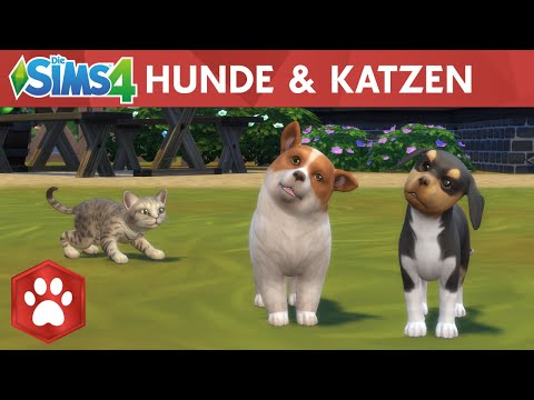 : Hunde & Katzen - Launch Trailer