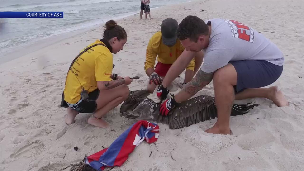 News 13 This Morning learns about Live Rescue