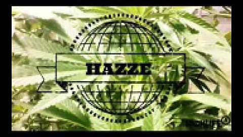 Copywrite Thats a Wrap instrumentalprodDJ HAZZE