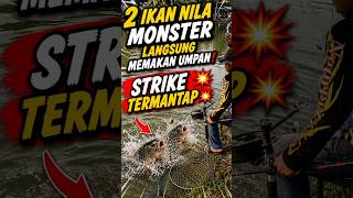 Teknik 2 kail berhasil mendapatkan 2 ikan nila monster!