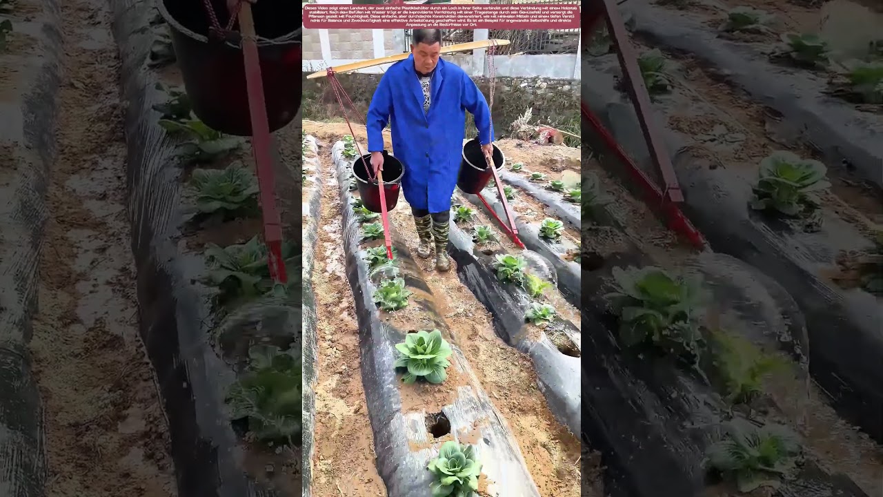 Wasser im Gleichgewicht: Vom Kanister zur Feldbewässerung