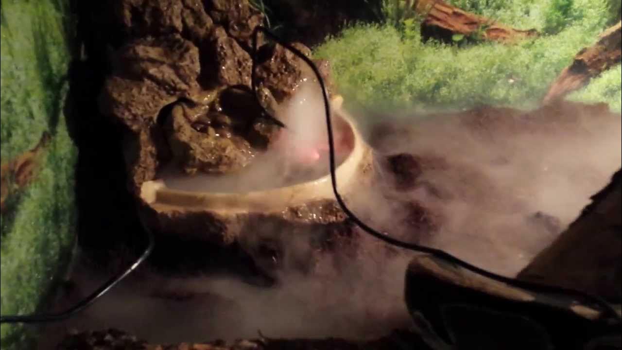 Python regius (Henryczek) Waterfall ExoTerra Large + Fogger YouTube