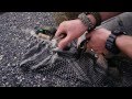 Pinewoodch survival carabiner update leatherman surge overview other mini kit