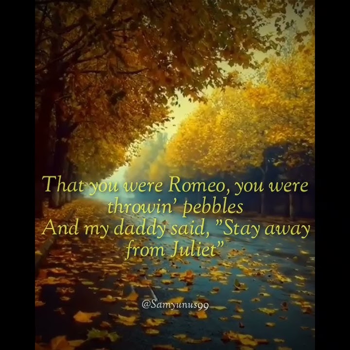 STORY WA || LOVE STORY - Taylor Swift By Eltasya Natasha ft. Indah Aqila (LYRICS)