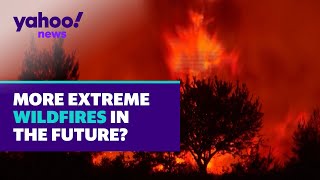 Why wildfires could be more extreme in the future