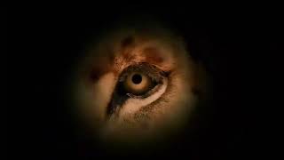 Mgm Logo 2012-2021 Reversed