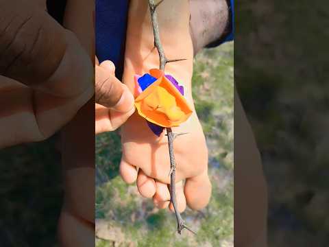 My SimpleWay#camping#outdoors#bushcraft#survival#shorts#1188