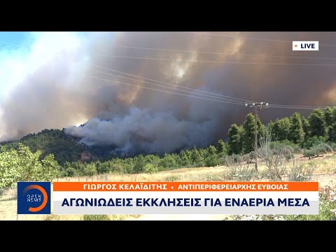 Αντιπεριφερειάρχης Εύβοιας: Η Εύβοια εκπέμπει SOS | Μεσημεριανό δελτίο ειδήσεων 07/08/2021 | OPEN TV