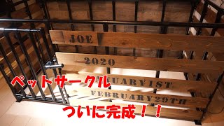 【DIY】ゴールデンレトリバーの子犬の部屋！ペットサークルを自作！イレクターパイプで作ってみる！③　ついに完成！！【Joe Life】