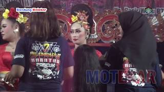Download Lagu ISTR SETIA ALA BAJIDOR MP3 Download Lagu ISTR SETIA ALA BAJIDOR MP3