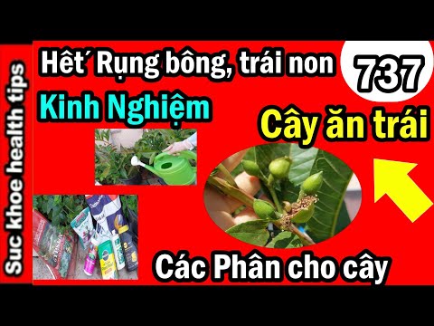 Video: Moisture Loving Fruit Trees - Cây ăn trái phát triển trong điều kiện ẩm ướt