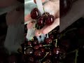 Моя любимая черешня Моя любимая черешня