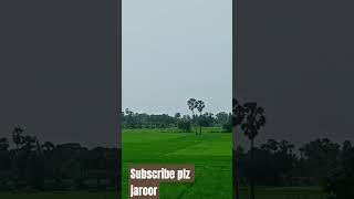 നെല്പാടാം നാട്ടിൻപുറം പോലെ എന്നാൽ  ഒരുകൂട്ടം വന്ന തത്തകൾ #impressivestories #first #promotionlive