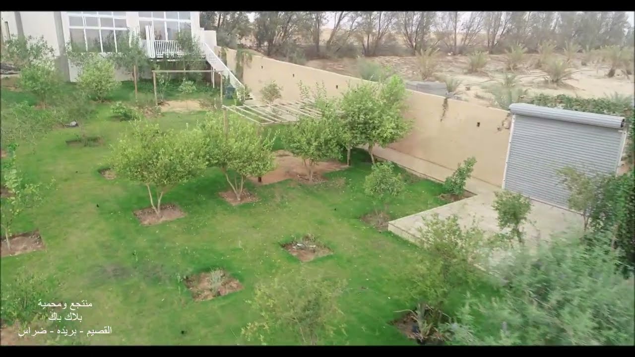 محمية ومنتجع بلاك باك القصيم - بريده - ضراس للايجار اليومي للحجز /0503236677