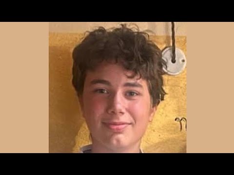 Video Diego Baroni scomparso a San Giovanni Lupatoto vicino Verona, la madre del 14enne: Mi serve aiuto