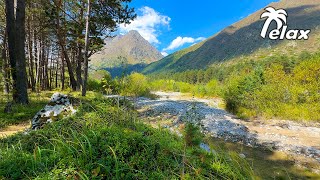 🌳 4K - Relaxing Nature Sounds For Stress Relief, Forest Sounds, Bird Song