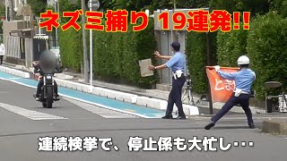 次から次へと違反車が! 19台の大量検挙！レーダー式ネズミ捕り取締り/This is speed enforcement on roads with a 30km speed limit.