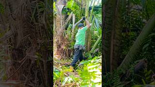 Mumpung Hari Libur Kekebun Kita Gaes