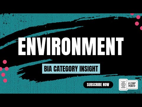 What is Environment and why does it matter? | B Corp category special