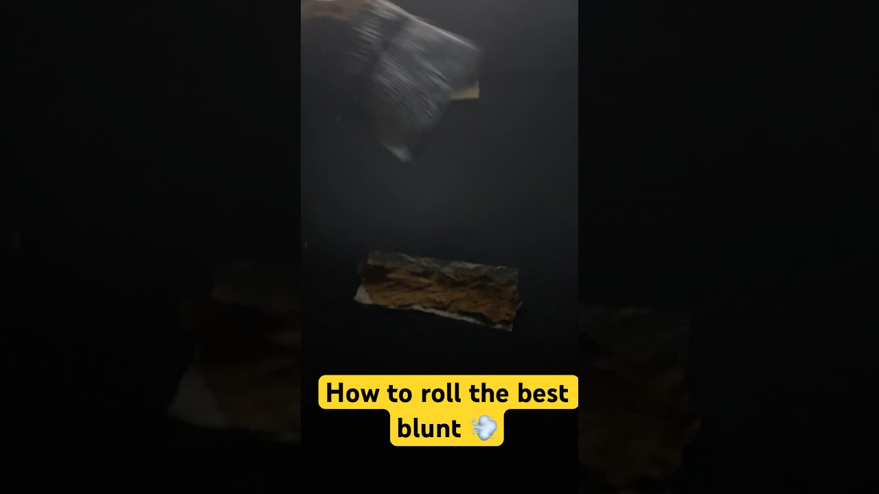 How to roll the best blunt papers and grabba 