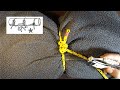 Beginning of video