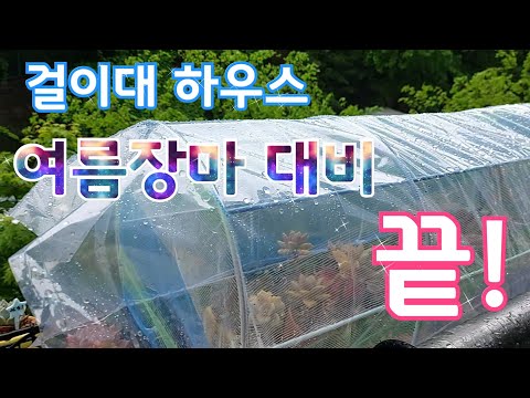 여름 장마대비  다육이 걸이대 하우스 설치한 모습 * 수제  & 기성품 * 多肉植物, Korean succulents