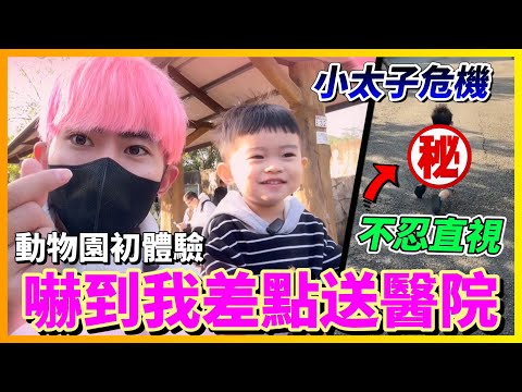 【Qi黃帝】小太子動物園初體驗 玩得太開心沒有注意到危險 結果意外就發生了.. | 黃帝の遊戲頻道➤@zxsdexz