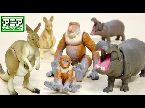 アニア 動物 アニア動物の商品一覧｜アニア アニマルアドベンチャー｜タカラトミー