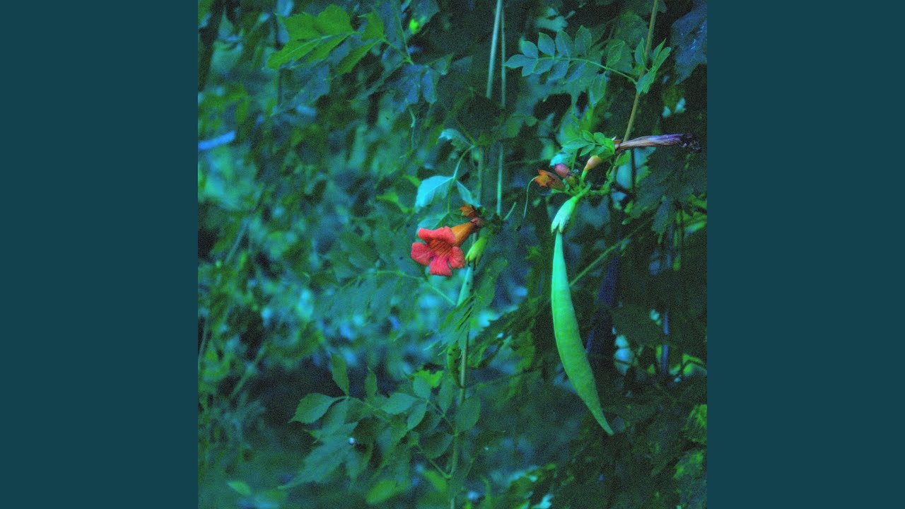 Mira clouds en YouTube Mira clouds en YouTube