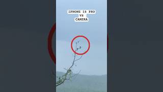 Iphone 15 pro vs camera | bird photography #iphone #camera