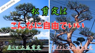 松切り枝 mqdefault.jpg