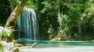 FIND PEACE OF MIND 😇🦜 Soothing Piano & Birds Singing With Waterfall Sounds. NO ADS