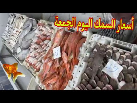 ثمن السمك بالمغرب اليوم الجمعة 4 اكتوبر 2024 المغرب سوق المغرب     