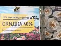 Распродажа Луковичных и Саженцев в Бауцентре!