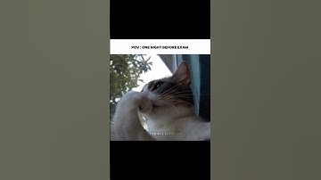 Pov: One night before exam 💀😭#trending #shorts #fypシ #reels #memes #relatable #exam #study #school