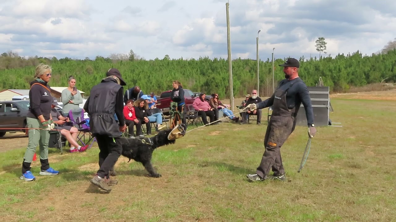 2026-Feb - uploaded   MVI 2538