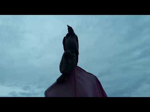 Hooded crow and rook at our bird shelter - YouTube