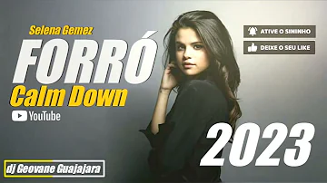 FORRÓ SELENA GOMEZ CAlM DOWN 2023 Geovane Guajajara