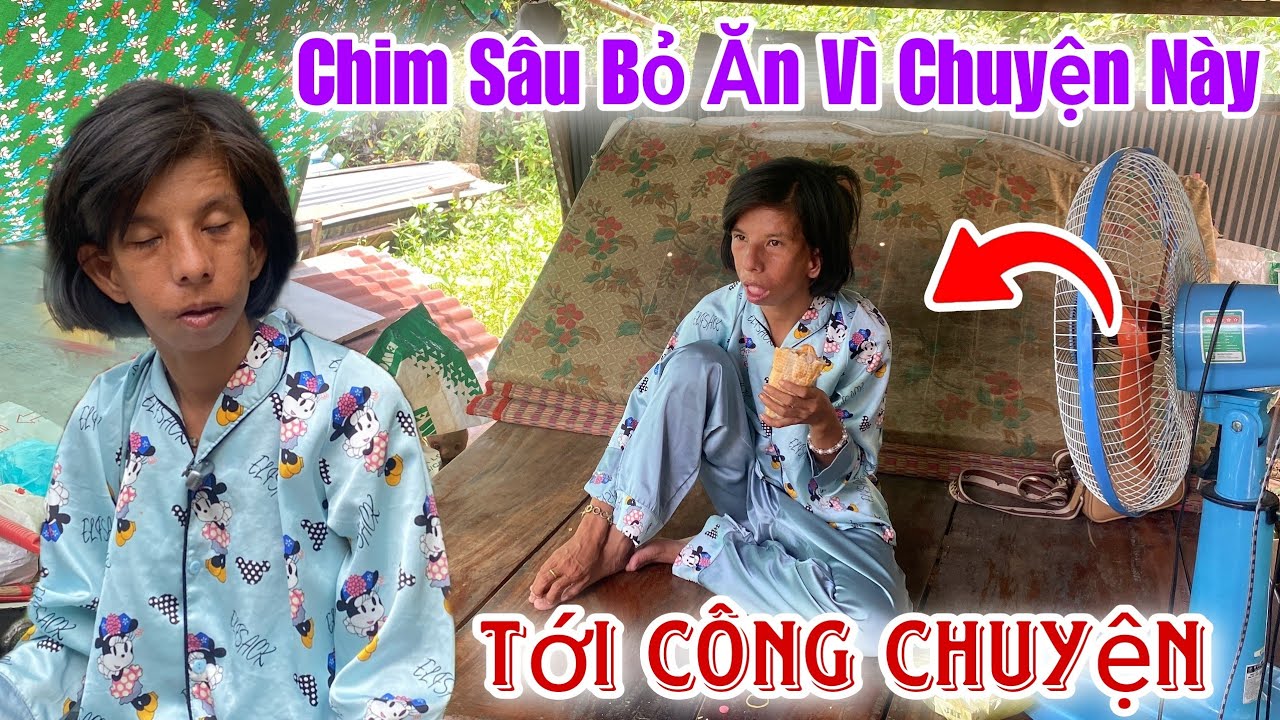 Có Biến Chim Sâu Bỏ Ăn Vì Chuyện Này