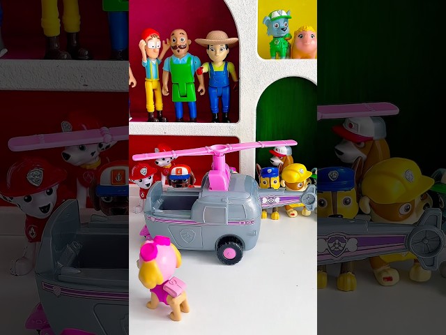 🐾PAW Patrol Rescue World ASMR : Marshall, Rubble, Chase, Zuma and Skye &Ryder #pawpatrol #shorts