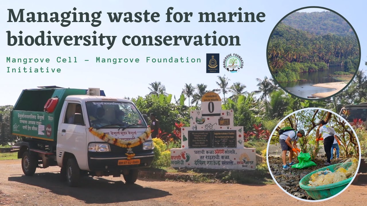 Managing waste for marine biodiversity conservation: Mangrove Cell - Mangrove Foundation Initiative